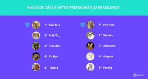 Brasileiros preferem cães e