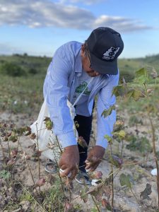 Tecidos Cataguases viabiliza usina