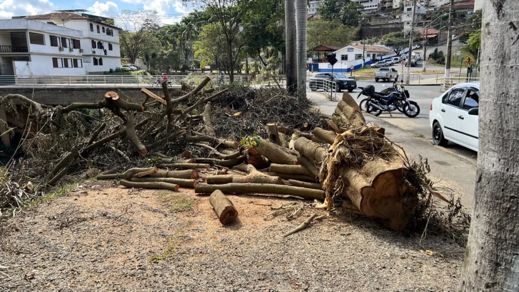 Secretários esclarecem sobre corte de árvores na Avenida Meia Pataca