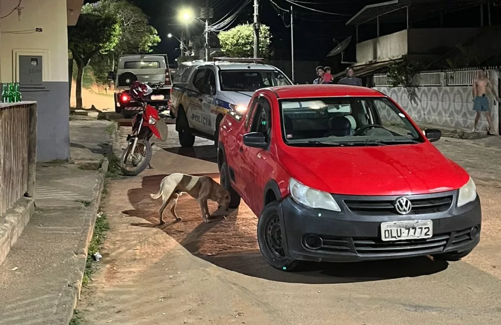 Homem é preso em Ribeiro Junqueira por diversas irregularidades