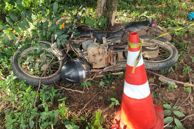 Jovem morre após bater motocicleta em árvore na BR-116