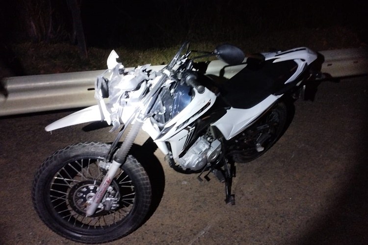 Acidente entre cavalo e motocicleta deixa dois feridos na BR-116 em Muriaé