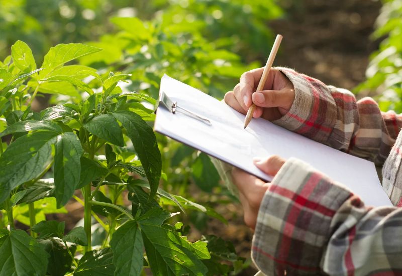 CEFET-MG em Leopoldina poderá ter curso superior em Tecnologia em Agropecuária