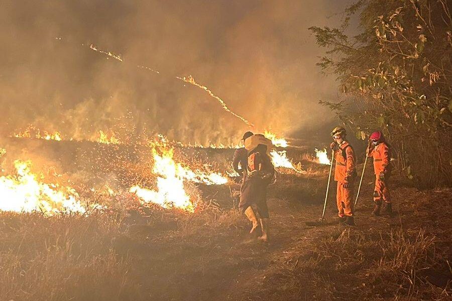 Corpo de Bombeiros de  Cataguases alerta sobre incêndio em vegetação