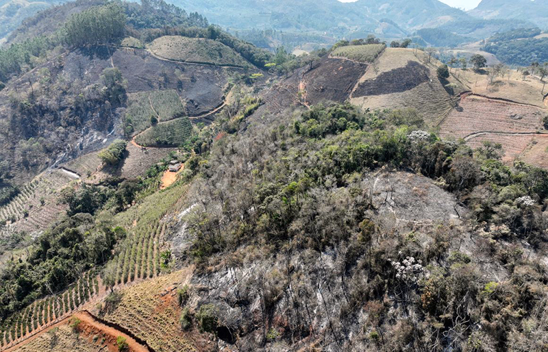 Polícia Ambiental multa e prende homem por incêndio criminoso