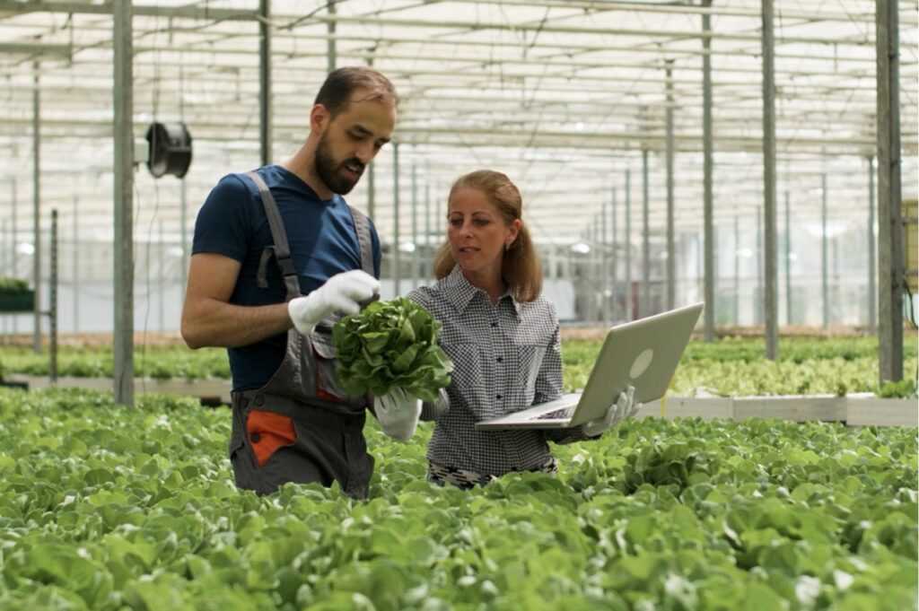 Sebrae Minas vai selecionar agentes para o programa ALI Rural