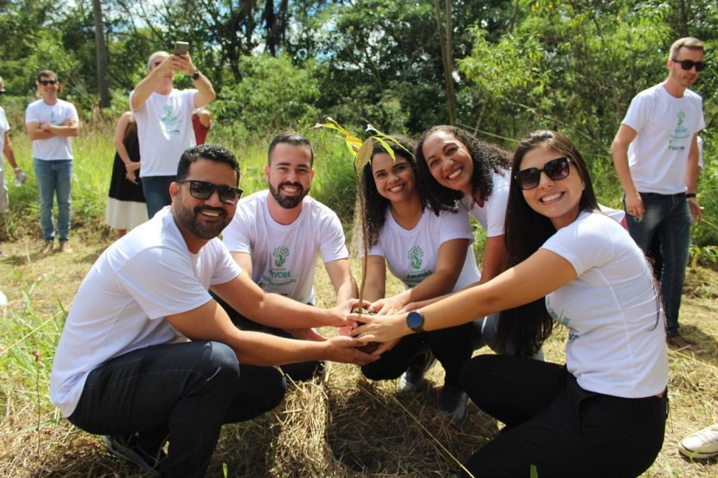 Sicoob Coopemata vai apresentar case de cooperativismo sustentável na COP30
