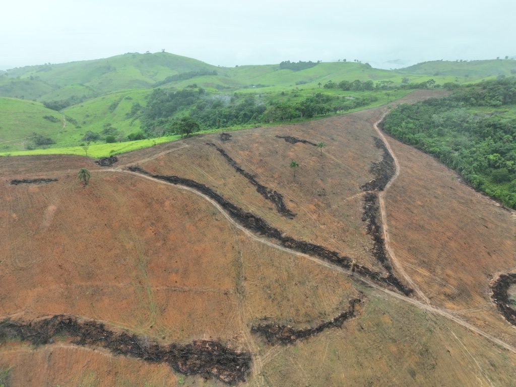 PM do Meio Ambiente multa em mais de R$ 500 mil desmate ilegal