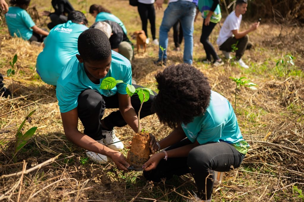 Sicoob Coopemata mostra suas ações que marcaram 2025