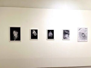 Exposição “Poéticas do Cotidiano”