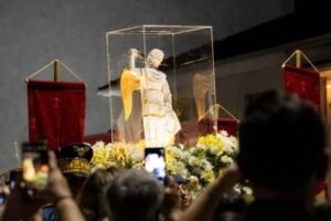 Imagem Peregrina de São