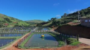 Fazenda Triunfo Piscicultura vai