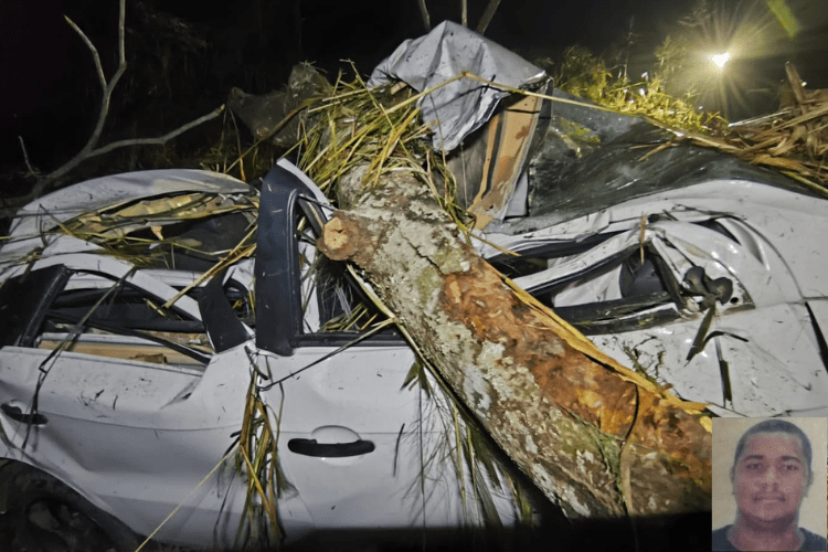 Carro capota e motorista morre próximo a Muriaé