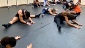Projeto Girarte supera 5