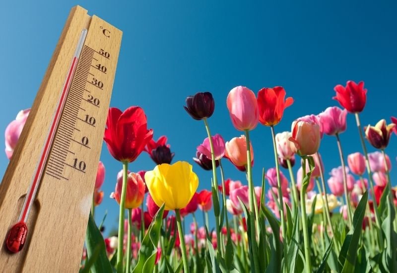 Primavera deve ter temperaturas até 3°C acima da média na Zona da Mata