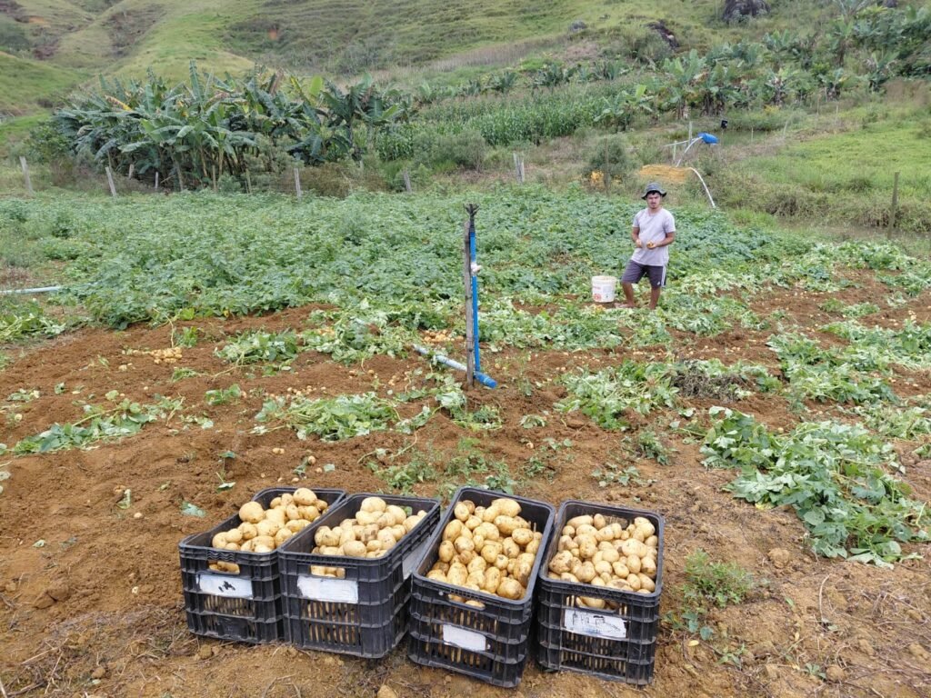 Emater-MG apoia jovens produtores e diversifica agricultura em Cataguases