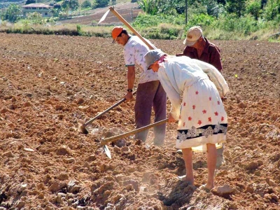 A Agricultura Familiar &eacute; o futuro do homem do campo