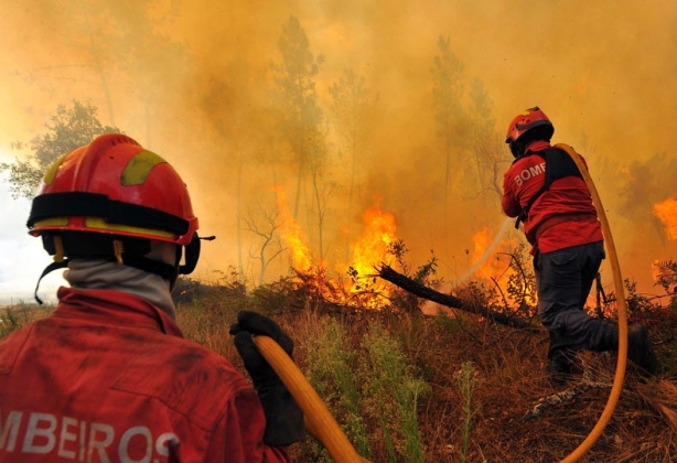 O inc&ecirc;ndio &eacute; fruto, na maioria das vezes, pela a&ccedil;&atilde;o descuidada e intencional do homem