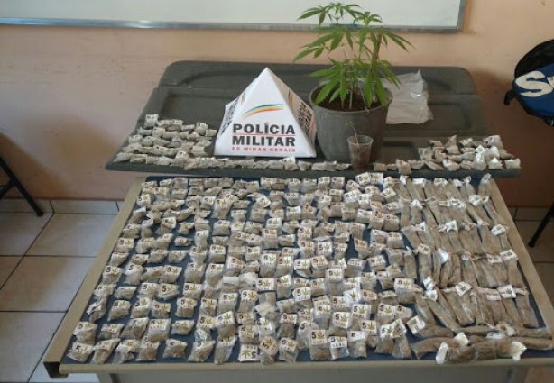 Uma denúncia anônima levou a PM a fazer a apreensão da droga