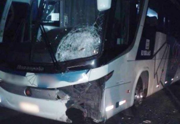 Colisão aconteceu na madrugada desta segunda-feira. Nenhum ocupante do ônibus ficou ferido. (Foto: Polícia Militar Rodoviária/Divulgação)