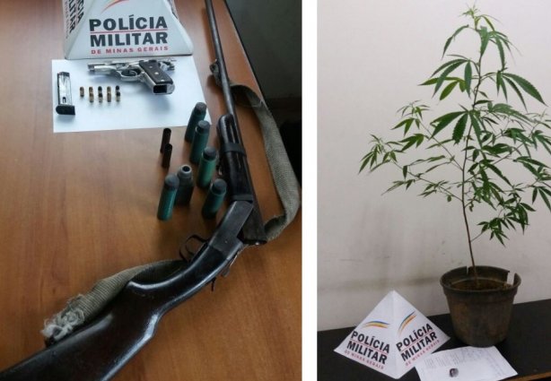 As armas e a droga pronta para uso e a que estava sendo cultivada em casa foram apreendidas