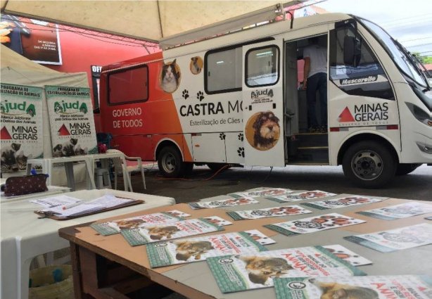 De 2 a 6 de setembro, o Castramóvel estará em Cataguases esterilizando cães e gatos