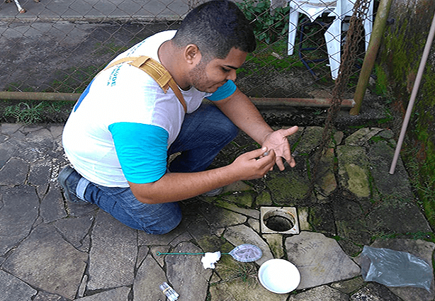 Oitenta por cento dos focos do mosquito da dengue são encontrados em residências, diz o coordenador da Núcleo de Endemias