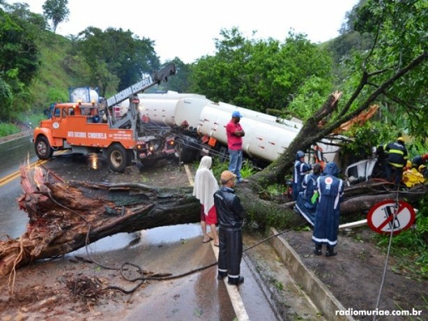 A carreta bateu na &aacute;rvore e atravessou a pista, interditando o tr&acirc;nsito no local 